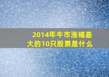 2014年牛市涨幅最大的10只股票是什么