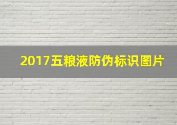 2017五粮液防伪标识图片