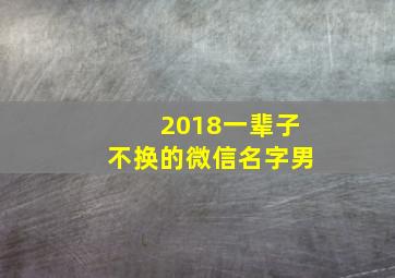 2018一辈子不换的微信名字男