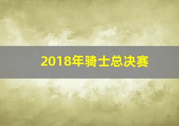 2018年骑士总决赛