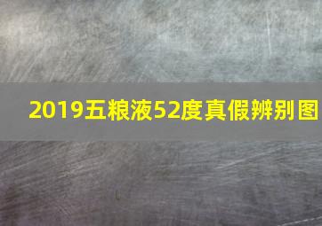 2019五粮液52度真假辨别图