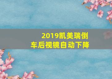 2019凯美瑞倒车后视镜自动下降