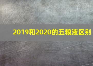 2019和2020的五粮液区别