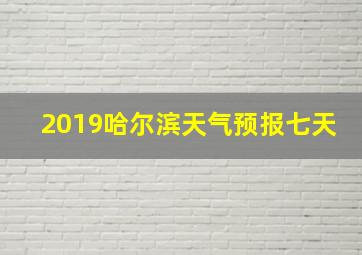 2019哈尔滨天气预报七天