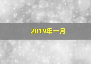 2019年一月