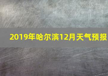 2019年哈尔滨12月天气预报