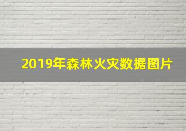 2019年森林火灾数据图片