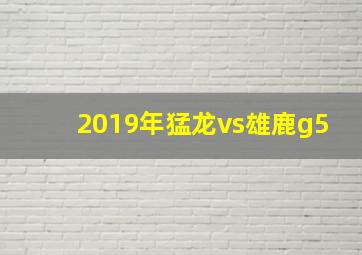 2019年猛龙vs雄鹿g5