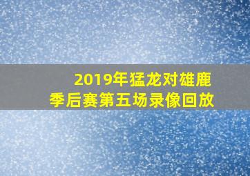 2019年猛龙对雄鹿季后赛第五场录像回放