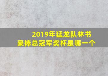 2019年猛龙队林书豪捧总冠军奖杯是哪一个