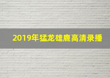 2019年猛龙雄鹿高清录播