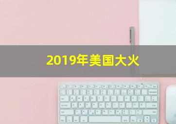 2019年美国大火