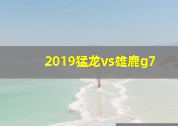 2019猛龙vs雄鹿g7