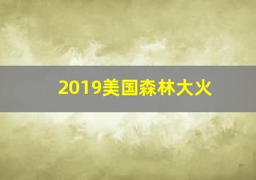 2019美国森林大火