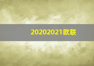 20202021欧联