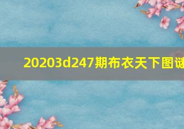 20203d247期布衣天下图谜