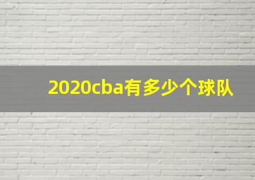 2020cba有多少个球队