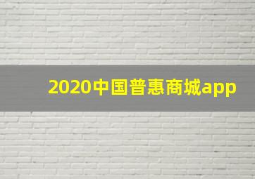 2020中国普惠商城app