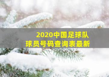 2020中国足球队球员号码查询表最新