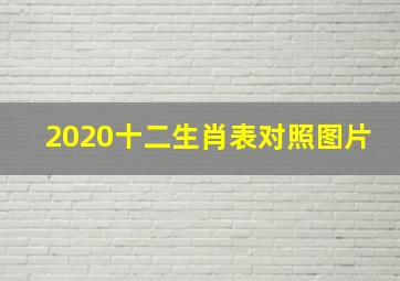 2020十二生肖表对照图片