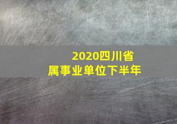 2020四川省属事业单位下半年