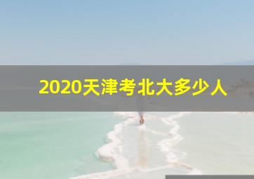 2020天津考北大多少人