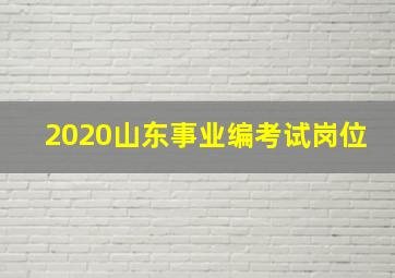 2020山东事业编考试岗位