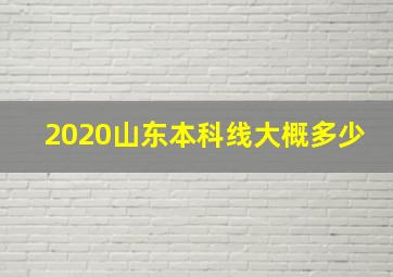 2020山东本科线大概多少