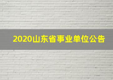 2020山东省事业单位公告