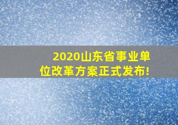 2020山东省事业单位改革方案正式发布!