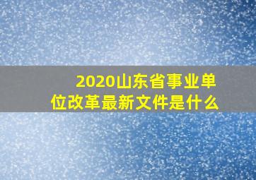 2020山东省事业单位改革最新文件是什么