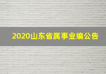 2020山东省属事业编公告