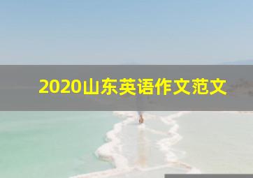 2020山东英语作文范文