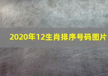 2020年12生肖排序号码图片