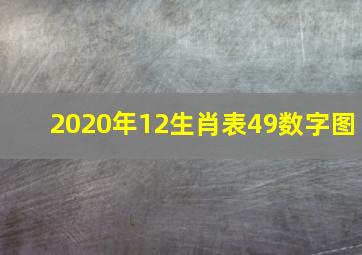 2020年12生肖表49数字图