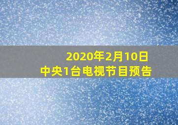 2020年2月10日中央1台电视节目预告