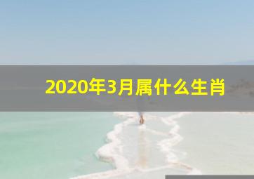 2020年3月属什么生肖