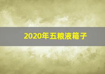 2020年五粮液箱子