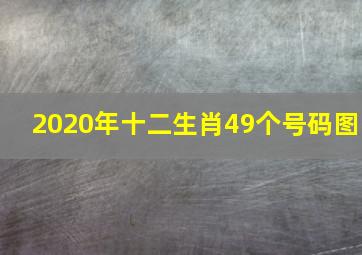 2020年十二生肖49个号码图