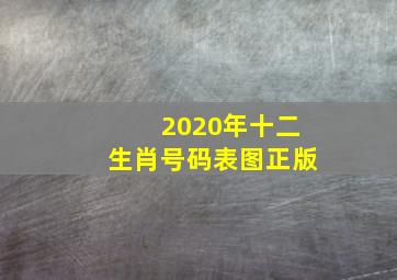 2020年十二生肖号码表图正版