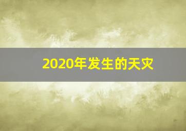 2020年发生的天灾