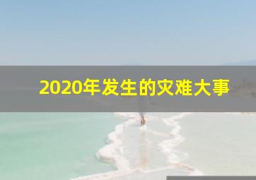 2020年发生的灾难大事