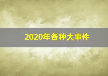 2020年各种大事件