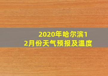 2020年哈尔滨12月份天气预报及温度