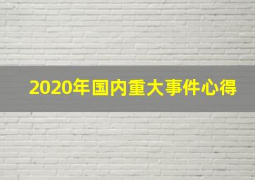 2020年国内重大事件心得