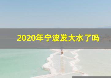 2020年宁波发大水了吗