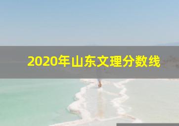 2020年山东文理分数线