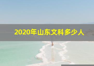 2020年山东文科多少人