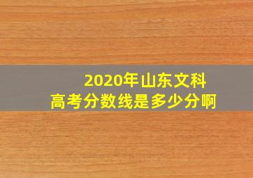 2020年山东文科高考分数线是多少分啊