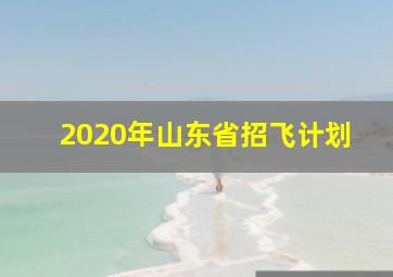 2020年山东省招飞计划